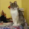 Отзыв от Зоя Кудрявцева